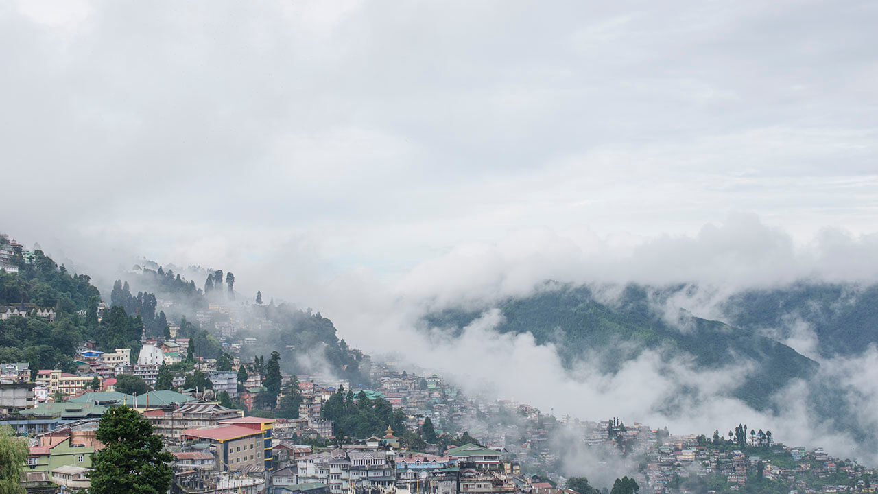 Darjeeling View