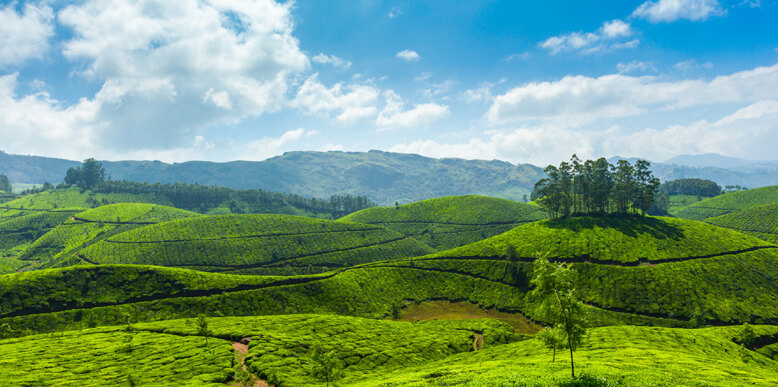 Munnar