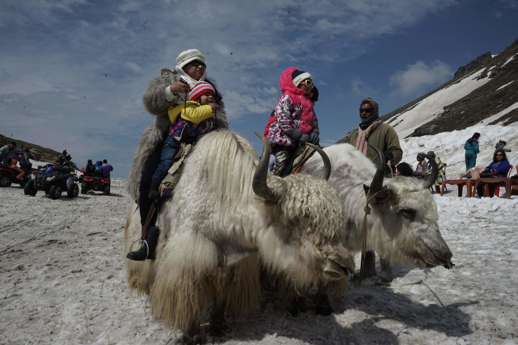 Yak Rides Manali
