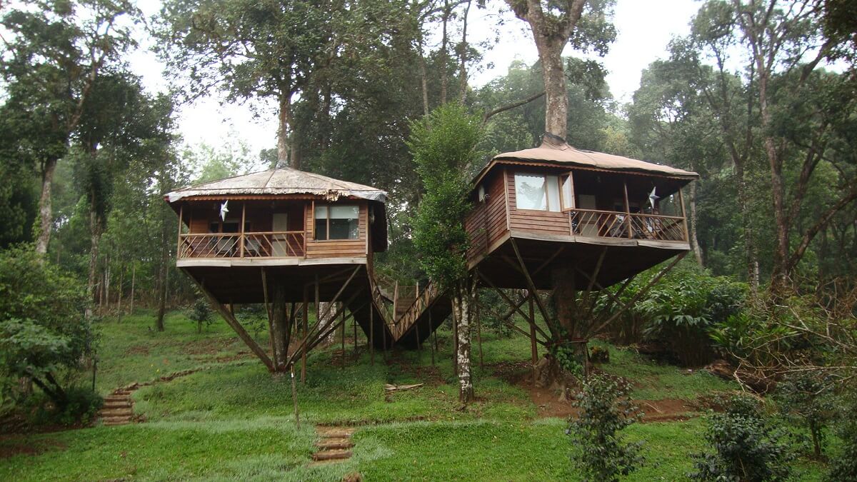 Athirapally Treehouse