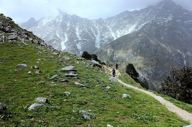 Triund Trek Dharamshala Himachal Pradesh