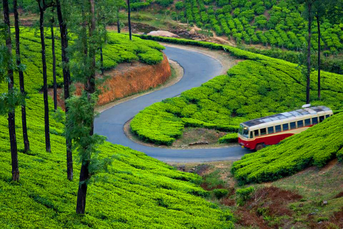 Munnar Kerala