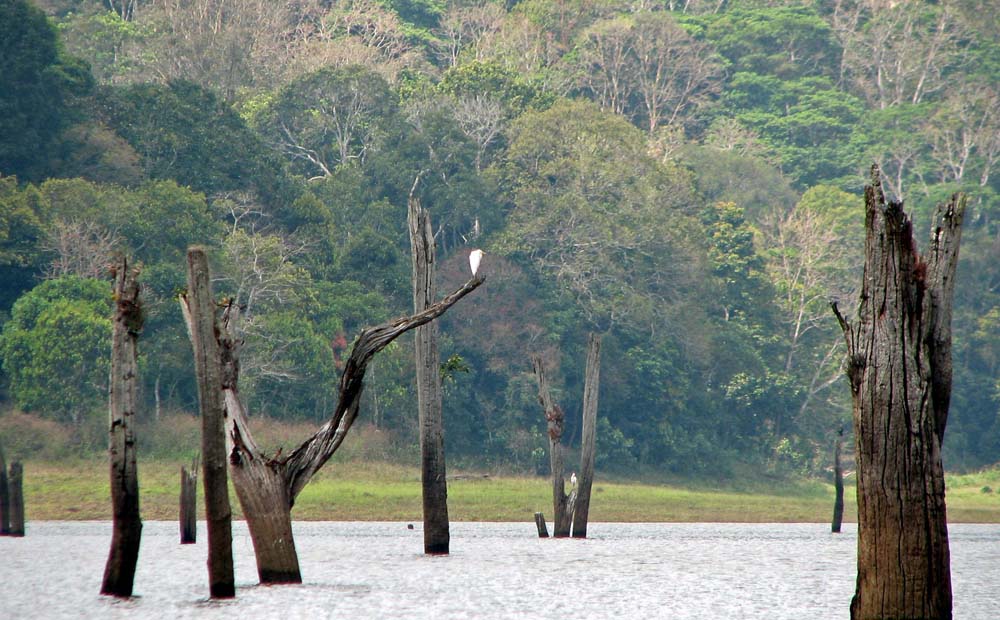 Places to see on Kumarakom