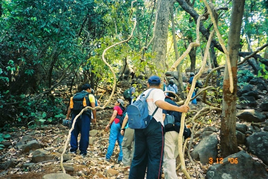 Karnala Birds Sanctuary
