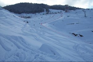 Auli Skiing