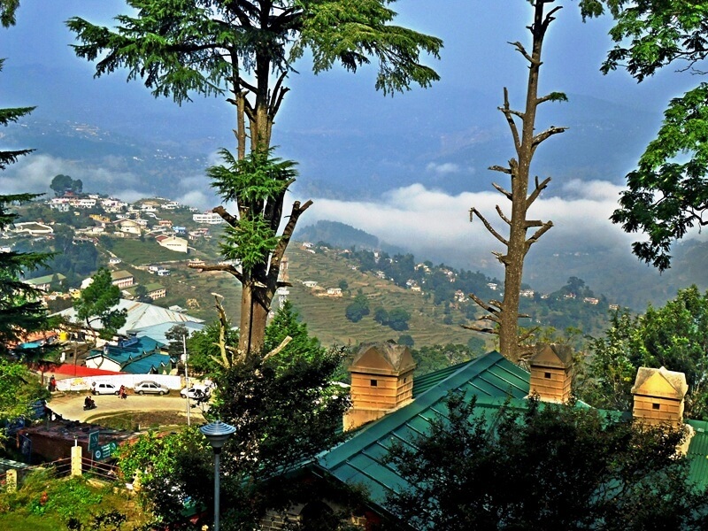 almora