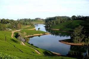 Best Honeymoon Places in Tamilnadu