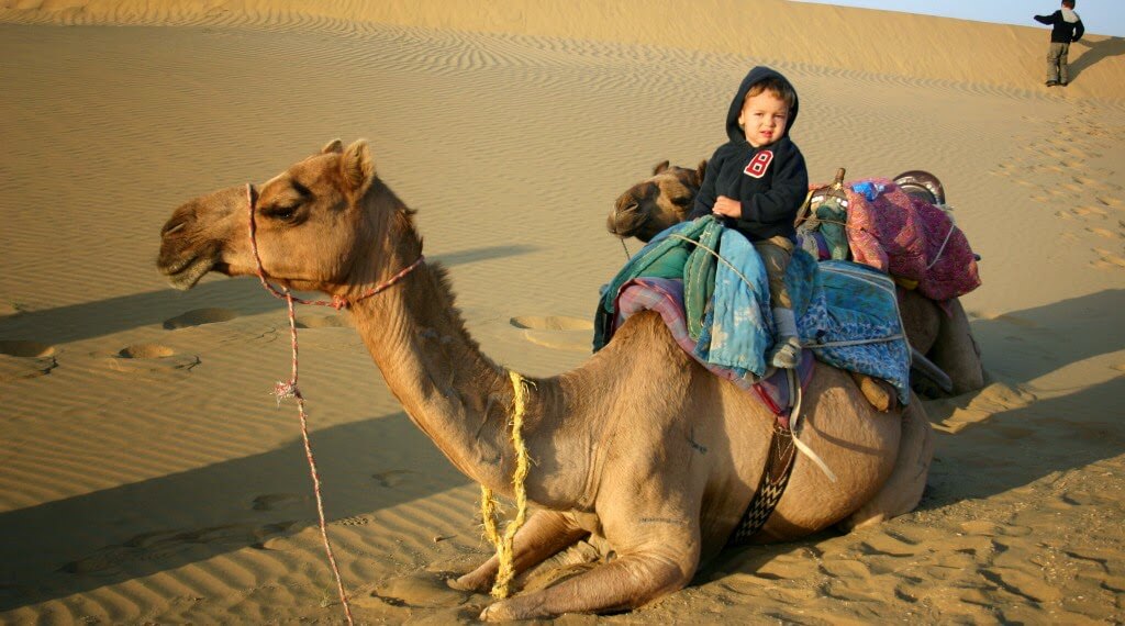 Camel Safari Jaisalmer