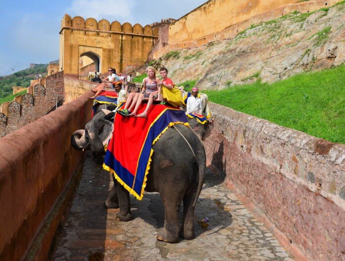Jaipur Amber Fort Elephant Ride Family Tour India