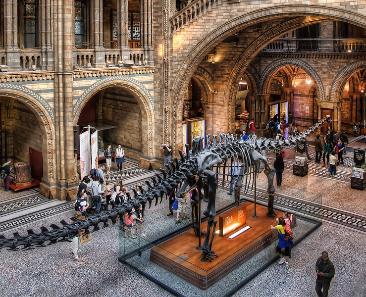 The British Museum, England