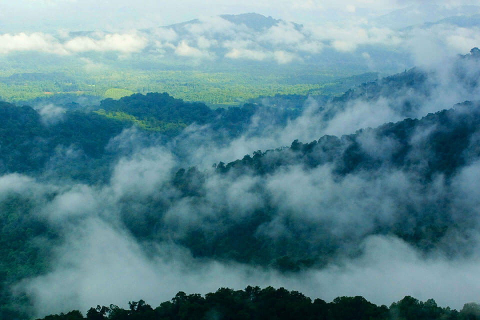Agumbe Karnataka