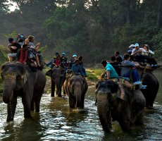 16 Days - India and Nepal Wildlife Safari