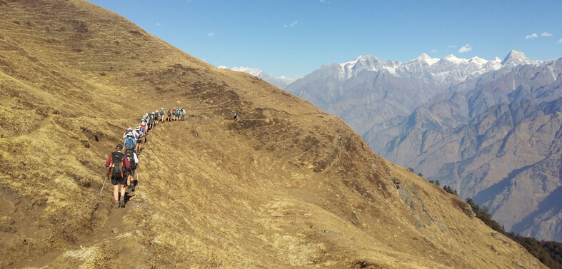 Gorson Bugyal Auli Uttarakhand