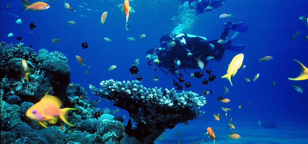 Tarkarli Scuba Diving India