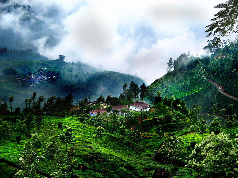 Munnar During Rainy Season