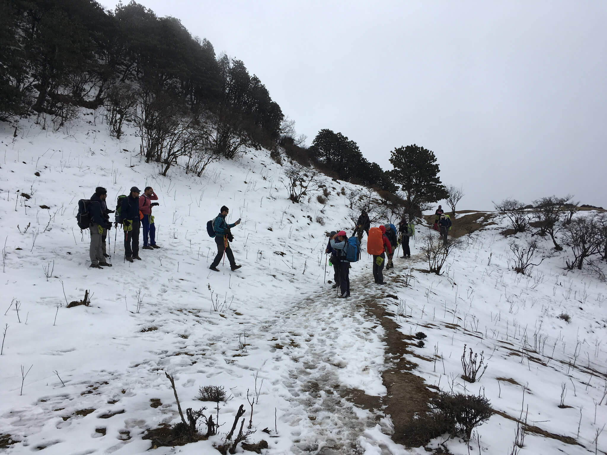 Sandakphu Trek, West Bengal