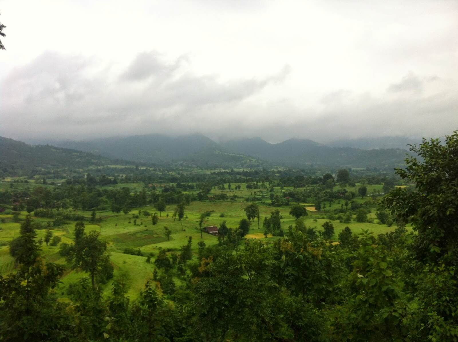 Wilson Hills, Gujarat