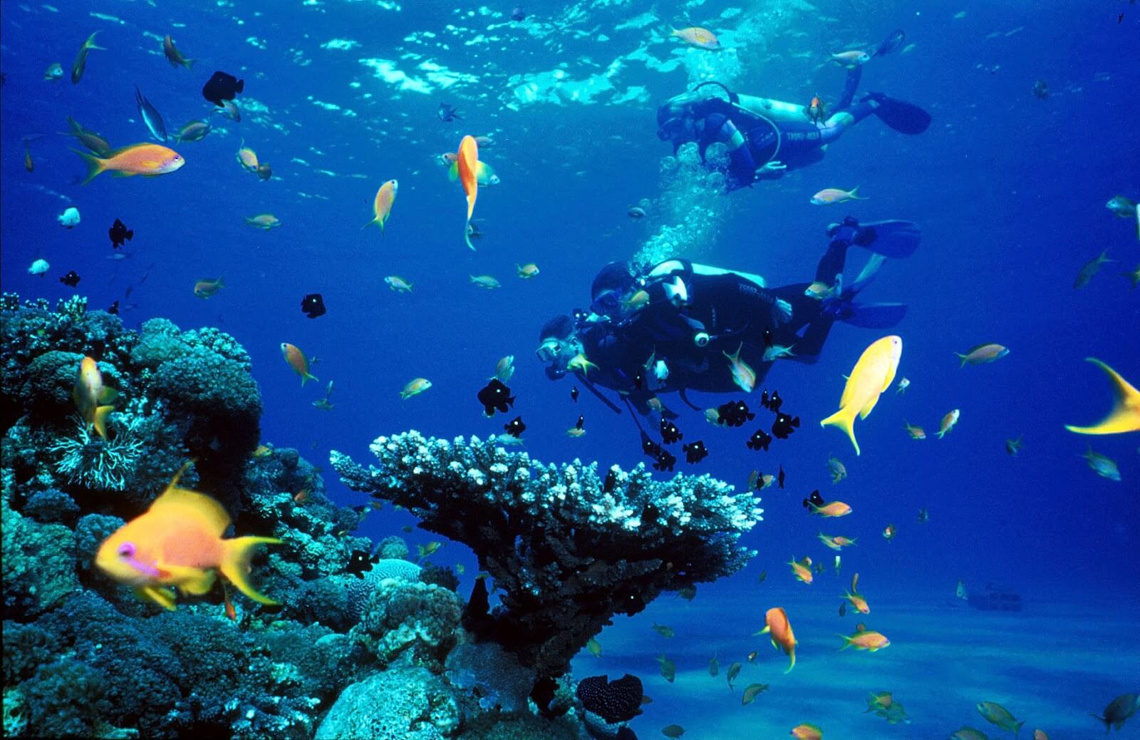 Lakshadweep Honeymoon