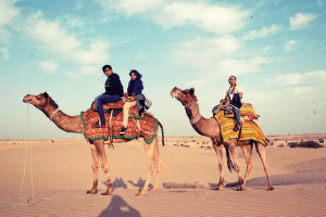 Camel Safari, Pushkar