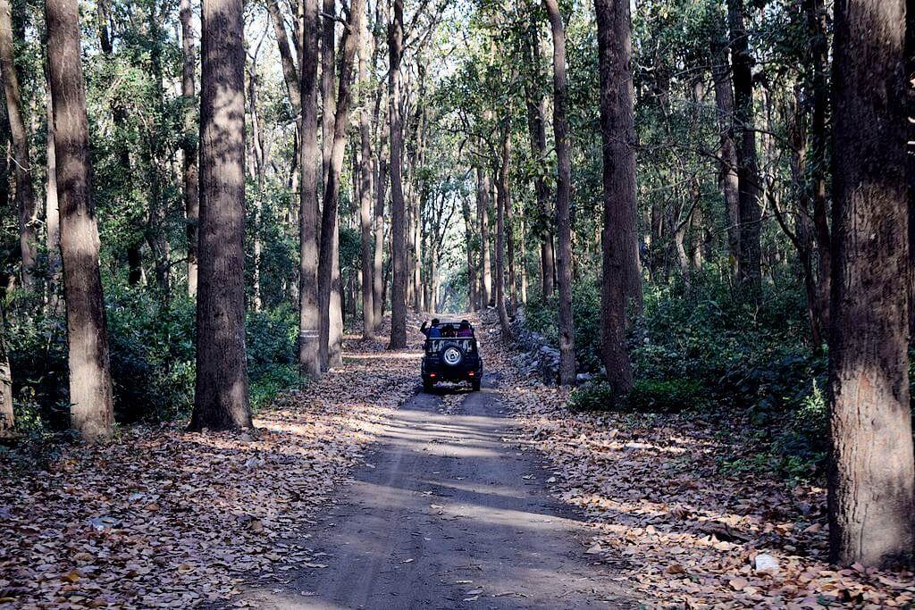 Jeep Safari Hemis National Park