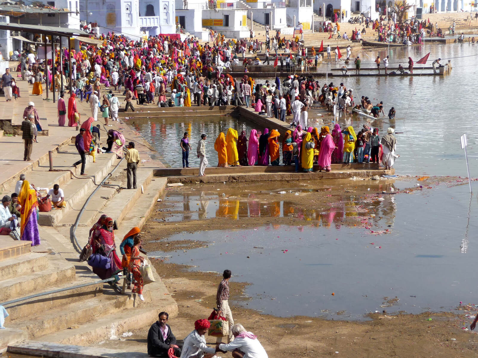 Holy Dip at Pushkar Lake