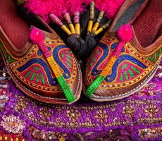 The Indian Splendor