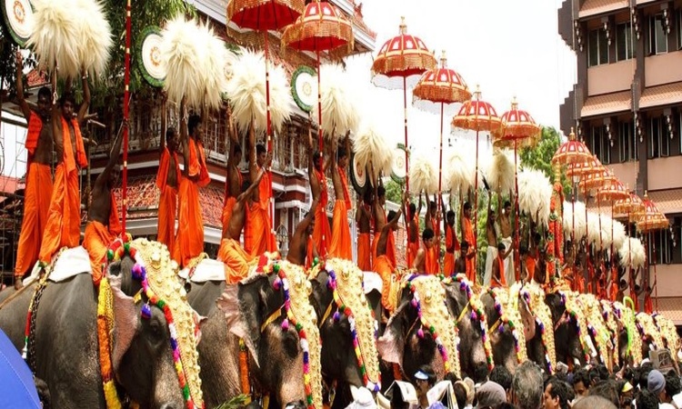 Elephant Festival Thrissur