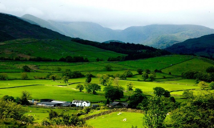 Ziro