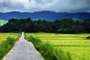 ziro