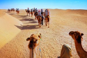Rajasthan Desert Safari
