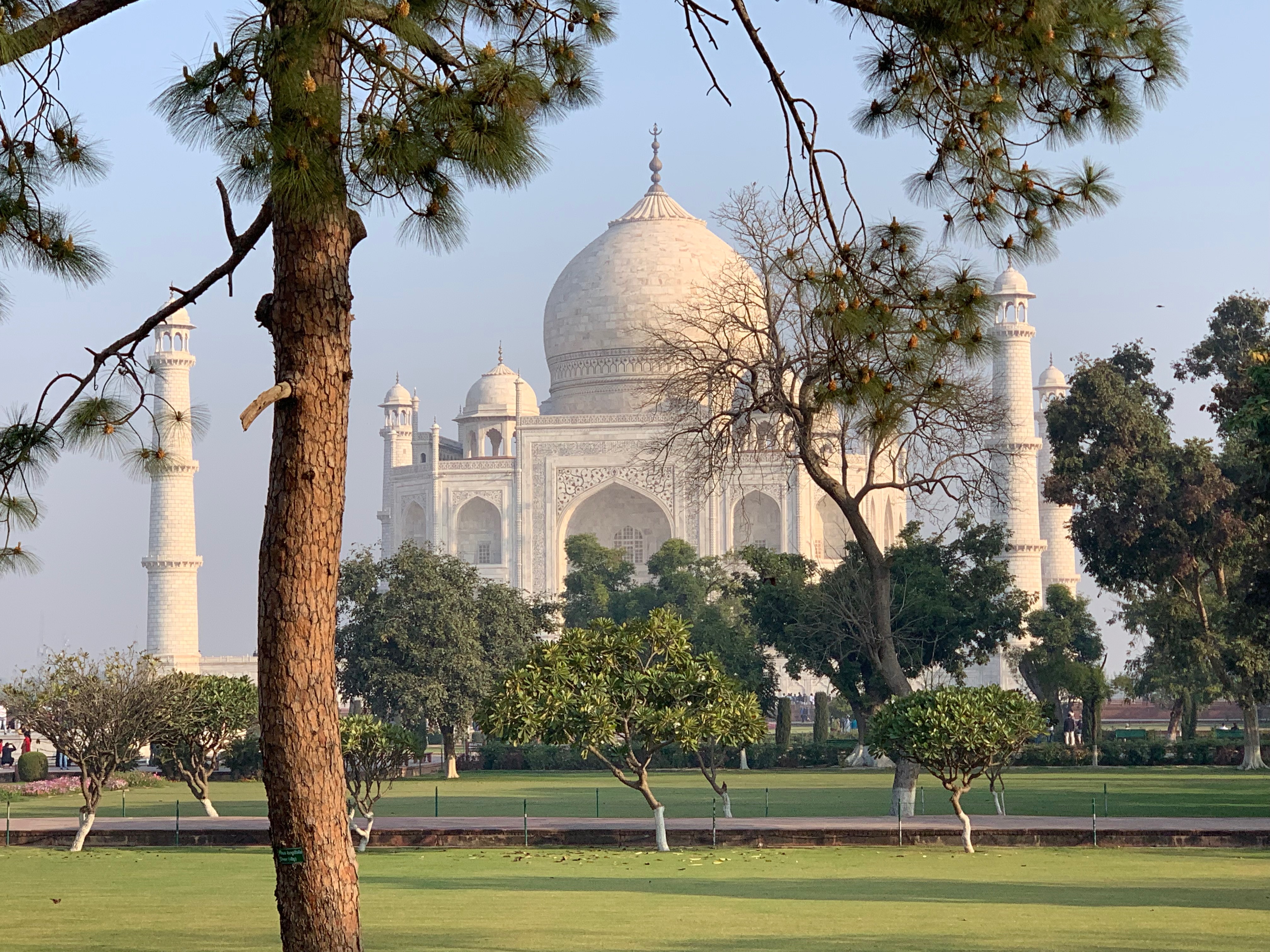 Summer view of Taj Mahal