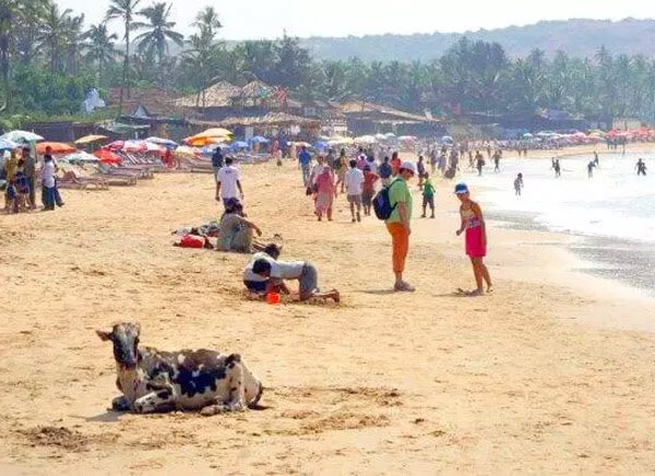Anjuna Beach