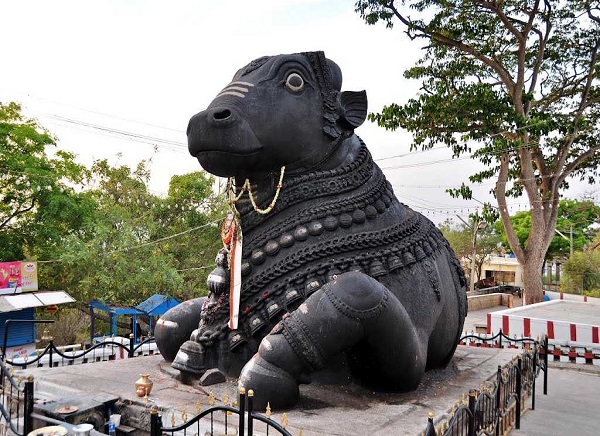 Bull Temple, Bangalore
