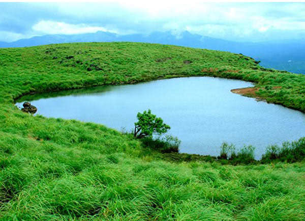 Wayanad