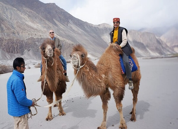 6 Days Best of Ladakh Tour