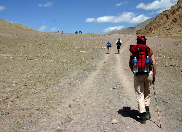 Temisgam Trek