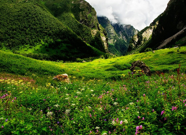 4 Nights Valley of Flowers Ladakh