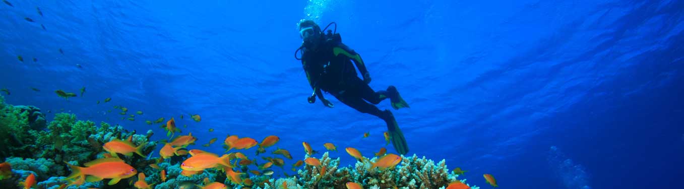 Scuba Diving at Lakshadweep
