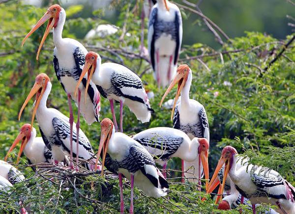 8 Days Golden Triangle with Bharatpur Tours