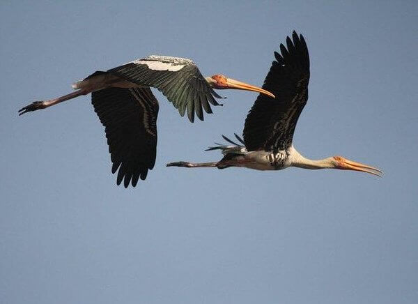 4 Days Jaipur Bharatpur Agra Tour