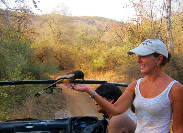 6 Days Taj Mahal with Golden Triangle + Birding Tour