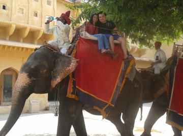 Amber Fort Elephant Ride, Jaipur