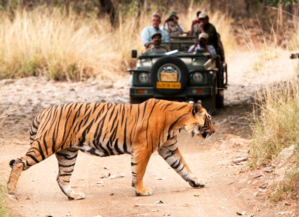15 Days North India Wildlife & Cultural Tour