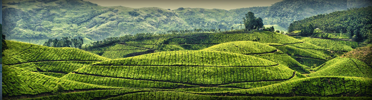 South India Hill Stations