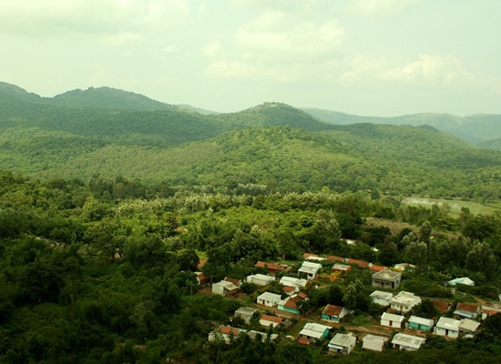 South India Hill Stations Tour