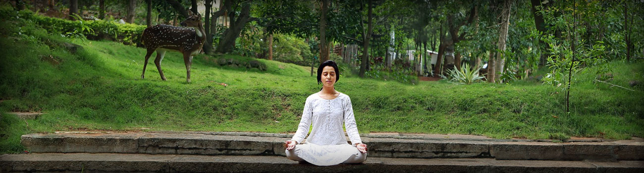 Yoga Tour India