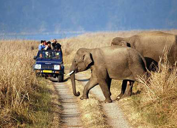 7 Days - Indian Elephant Safari