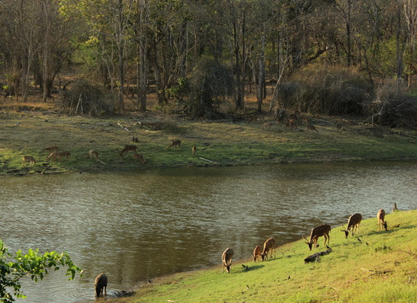 Nagarhole National Park